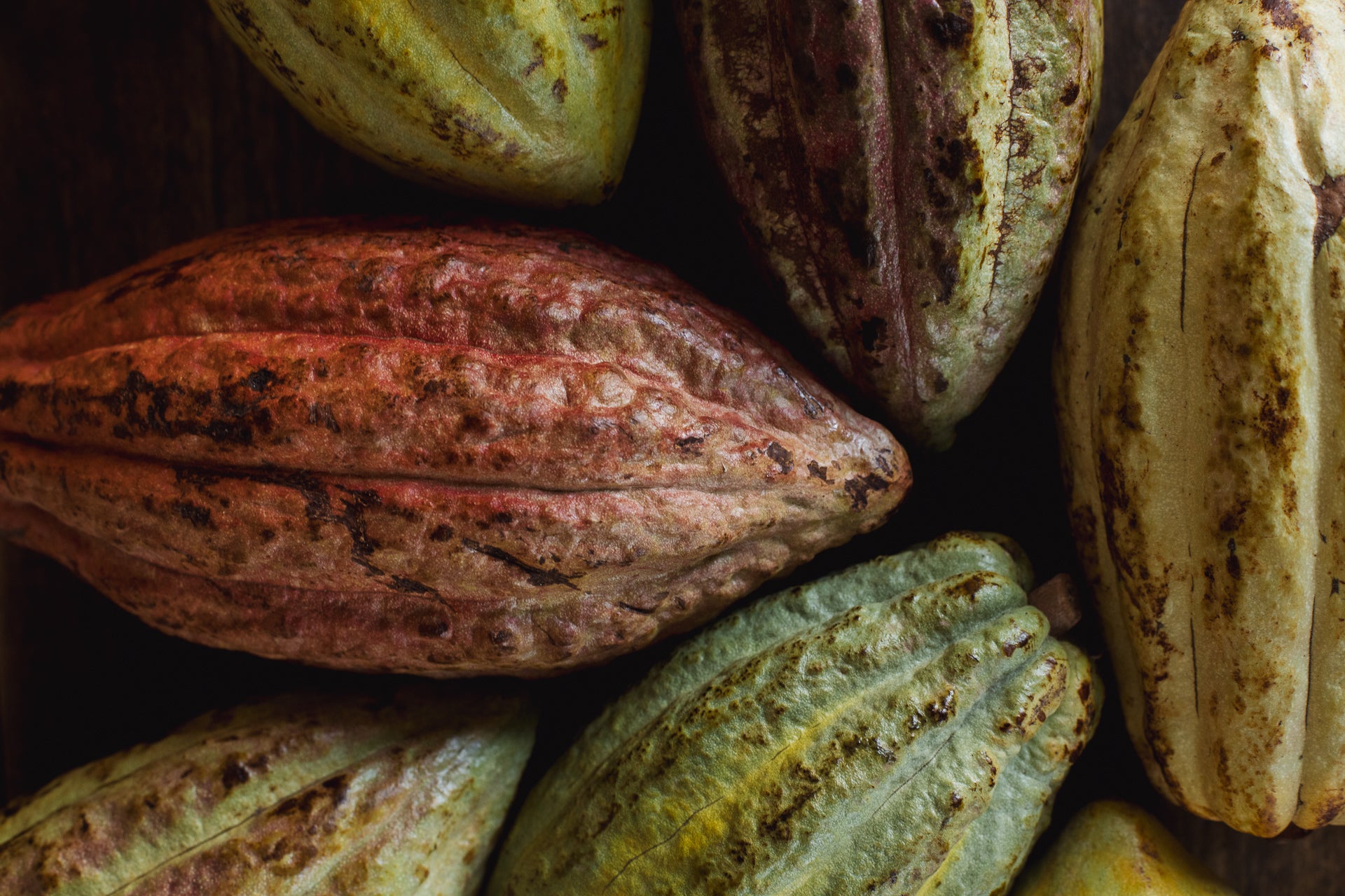 Top 10 Beneficios del Cacao