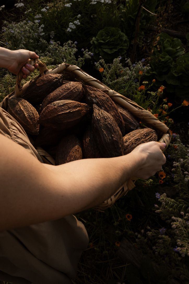La Leyenda de María Cacao