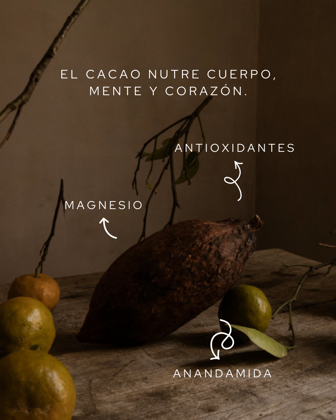 Ticket para Taller Hormonal: Conociendo mi Ciclo - MaríaCacao