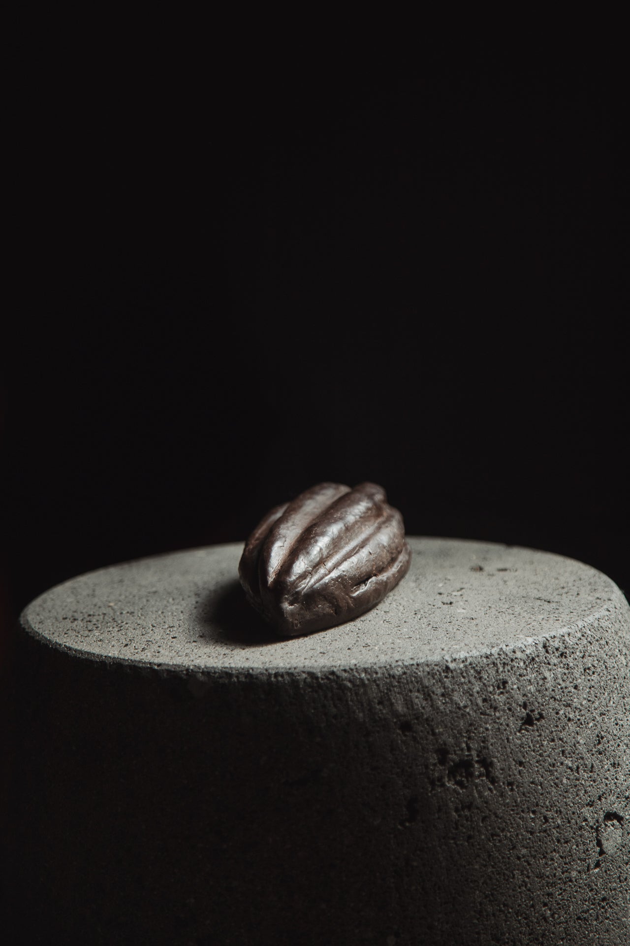 Mazorca de Cacao 480g